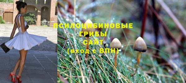 крисы Алексеевка