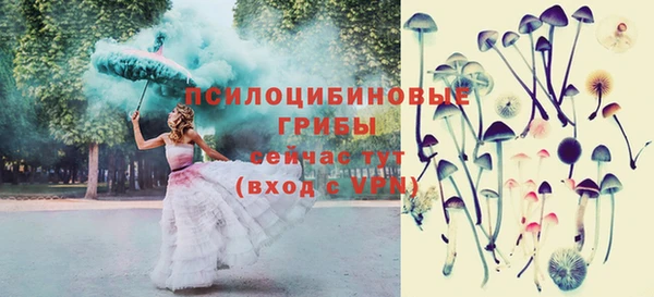 соль ск Алексин