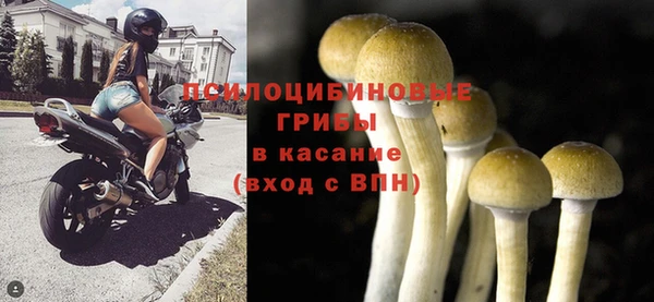 соль ск Алексин